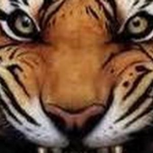 Meet your Posher, Shane